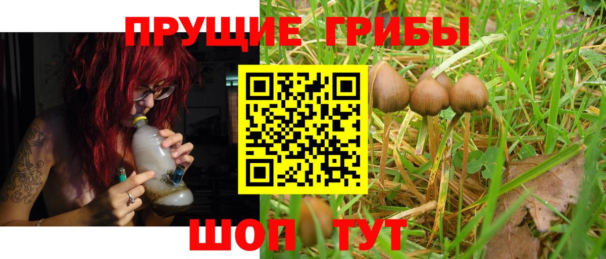 Галлюциногенные грибы ЛСД Минеральные Воды