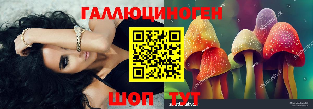 Минеральные Воды  Псилоцибиновые грибы MAGIC MUSHROOMS  Вход с VPN 